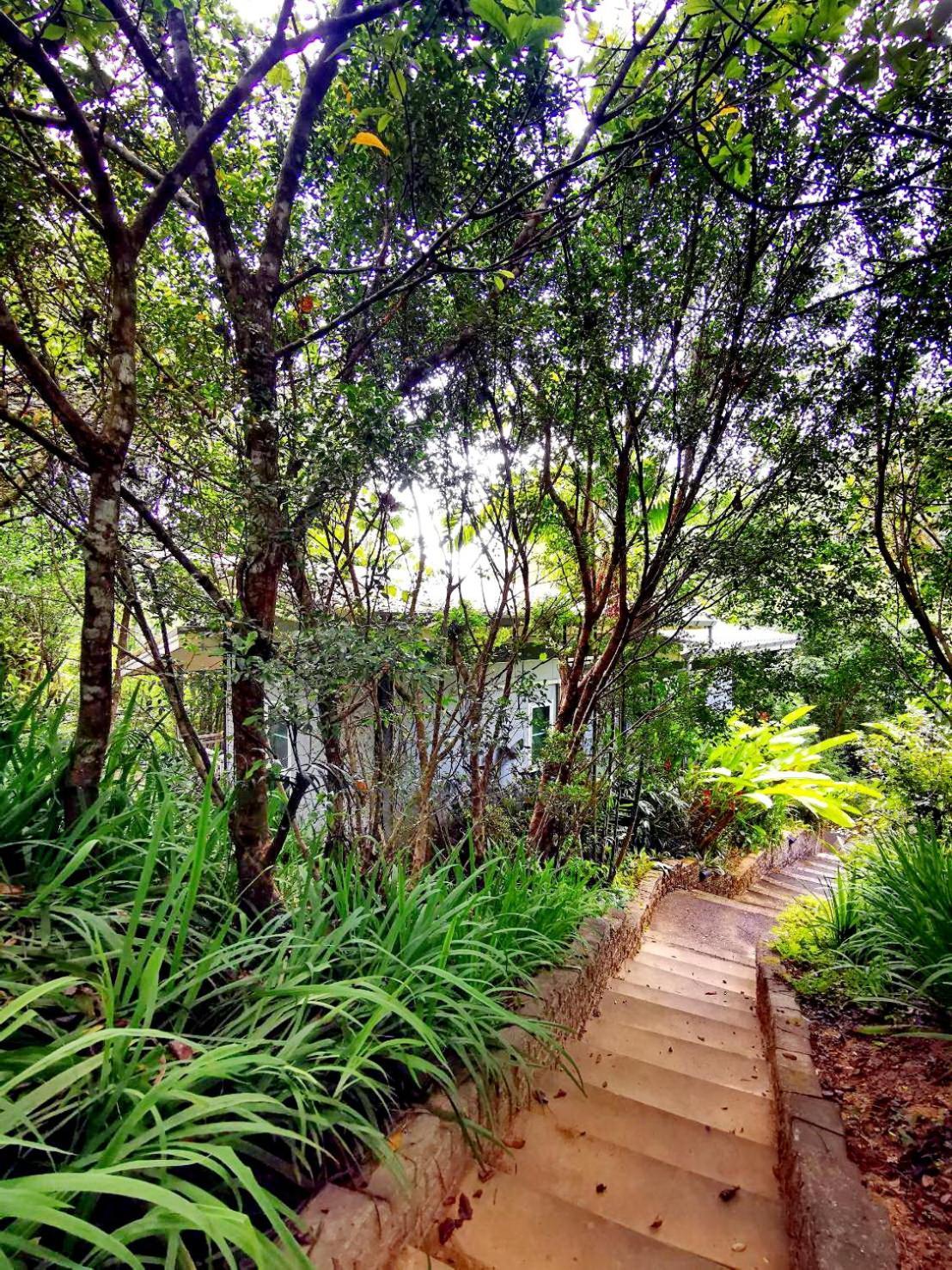 Bangnu Greenery Resort Takua Thung Exterior foto