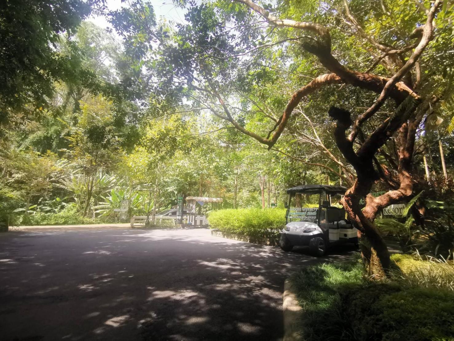 Bangnu Greenery Resort Takua Thung Exterior foto